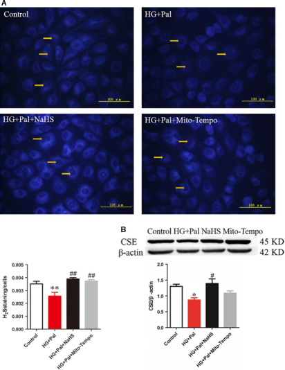 （NBS5820）   7-Azido-4-methylcoumarin (AzMC、C-7Az) 硫化氫熒光探針 圖1.png