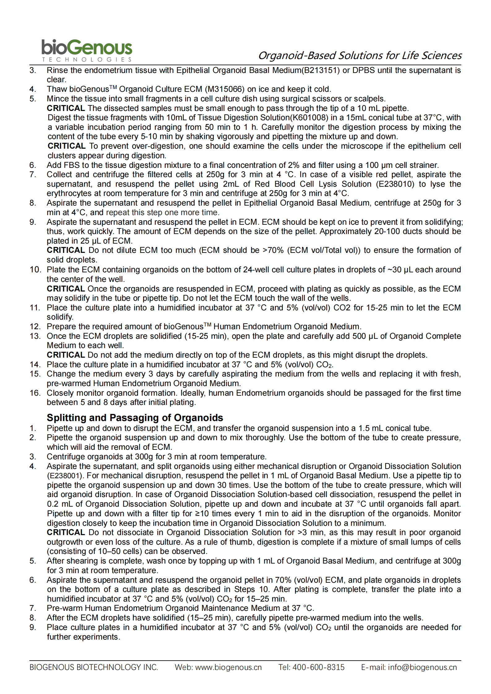 人子宮內(nèi)膜（無(wú)血清）-K2007-HE_01.png